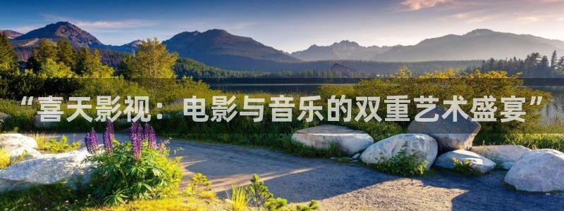 玖玖在线更新视频：“喜天影视：电影与音乐的双重艺术盛宴”