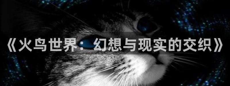 玖玖视频在线观看