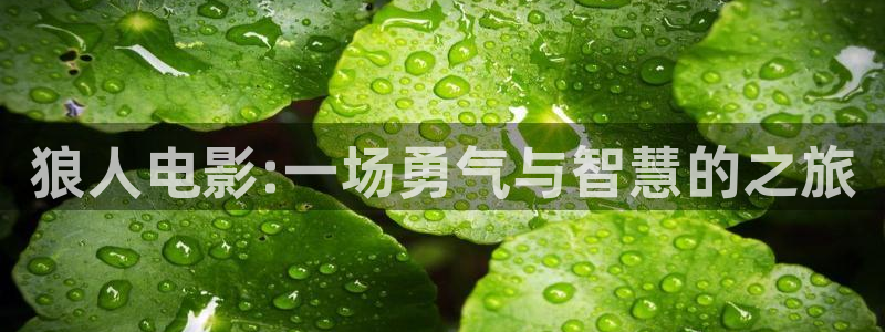 玖玖玖玖：狼人电影:一场勇气与智慧的之旅