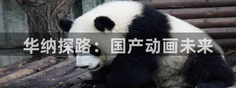 玖玖热国产视频：华纳探路：国产动画未来