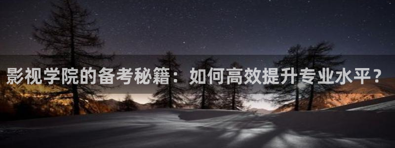 99玖玖精品视频在线观看：影视学院的备考秘籍：如何高效提升专业水平？