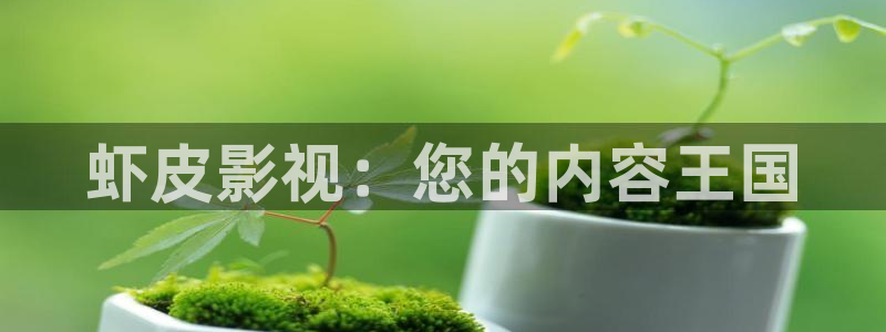 玖玖视频999：虾皮影视：您的内容王国