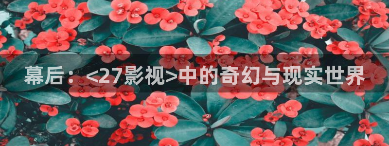玖玖玖免费视频：幕后：<27影视>中的奇幻与现实世界